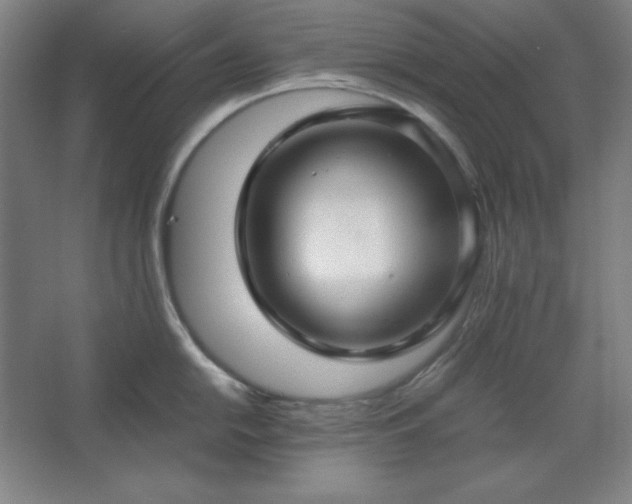 X0000062651054200512281642