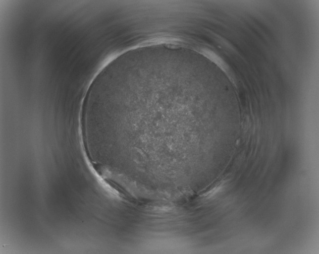 X0000062651055200512281642