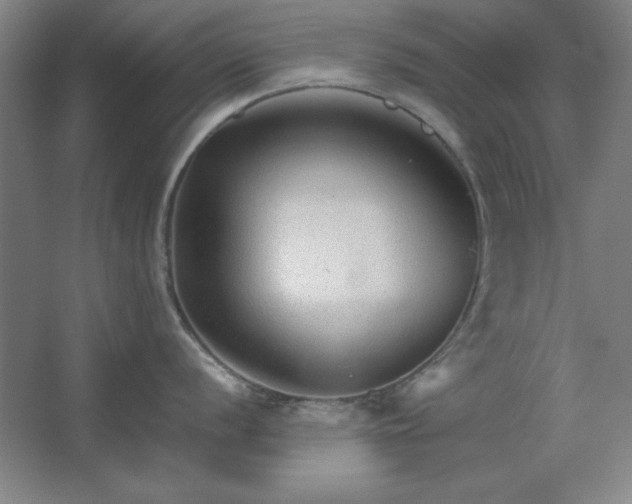 X0000062651056200512281642