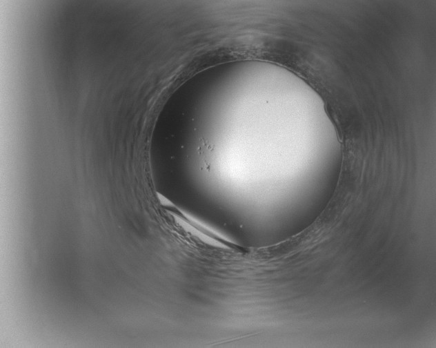 X0000062651057200512281641