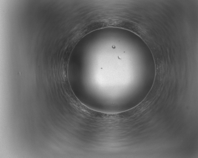 X0000062651058200512281641