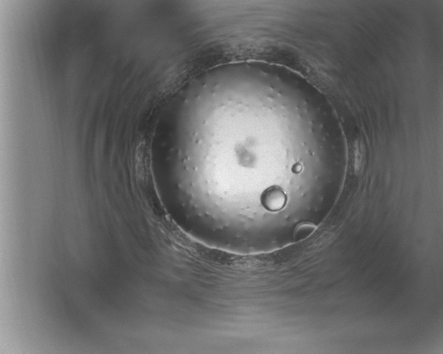 X0000062651059200512281641