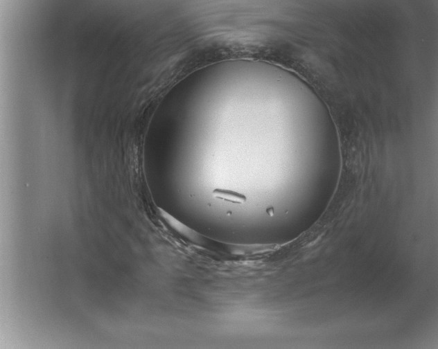 X0000062651061200512281641