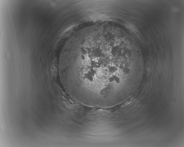 X0000062651063200512281641