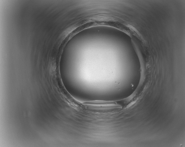 X0000062651065200512281641