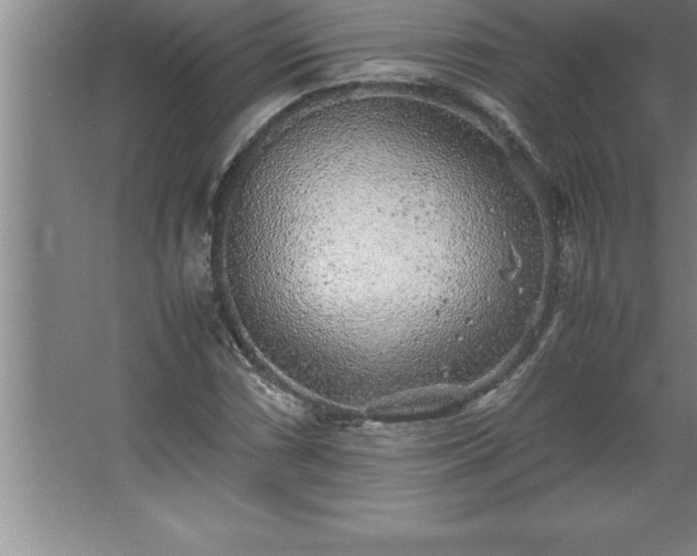 X0000062651066200512281641