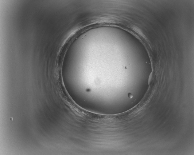 X0000062651067200512281641