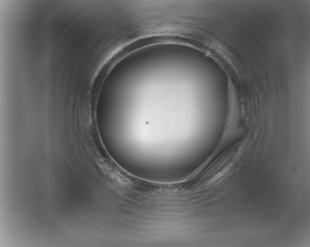 X0000062651069200512281641