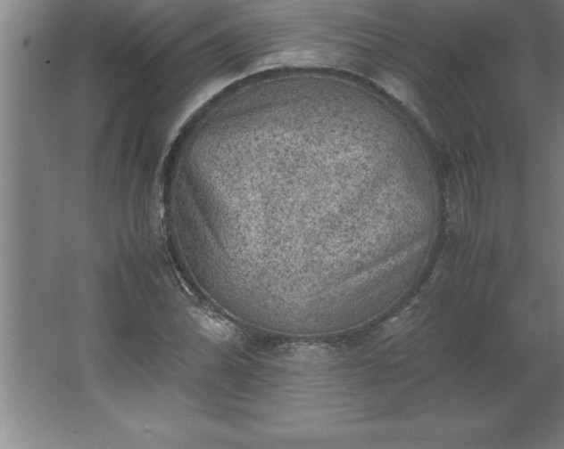 X0000062651070200512281641