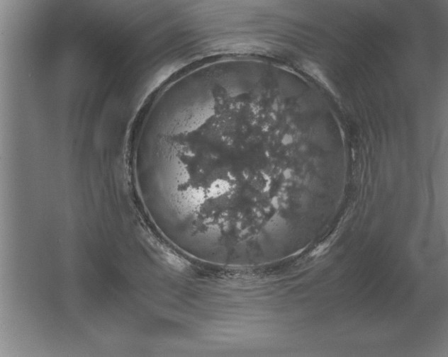 X0000062651071200512281641