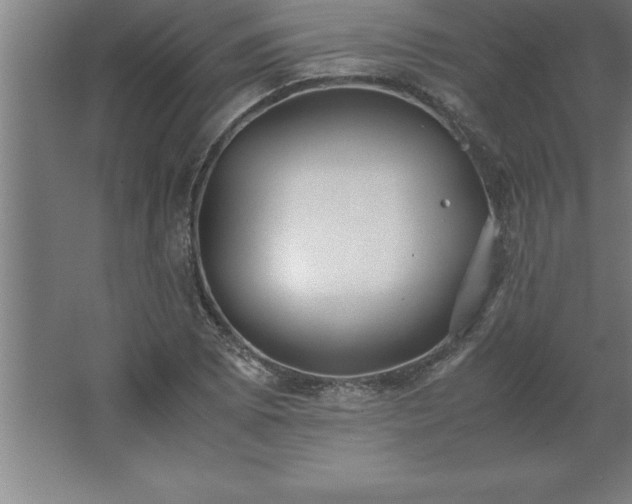 X0000062651073200512281641