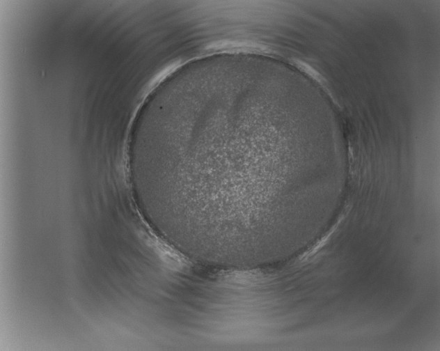 X0000062651074200512281641