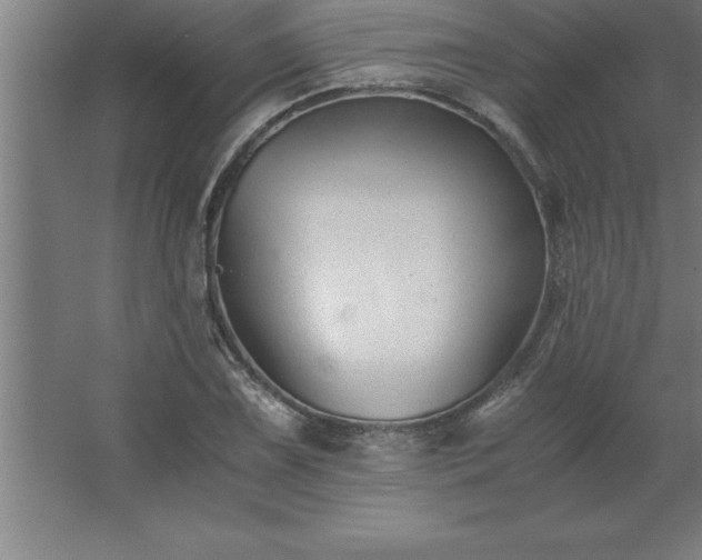 X0000062651075200512281641