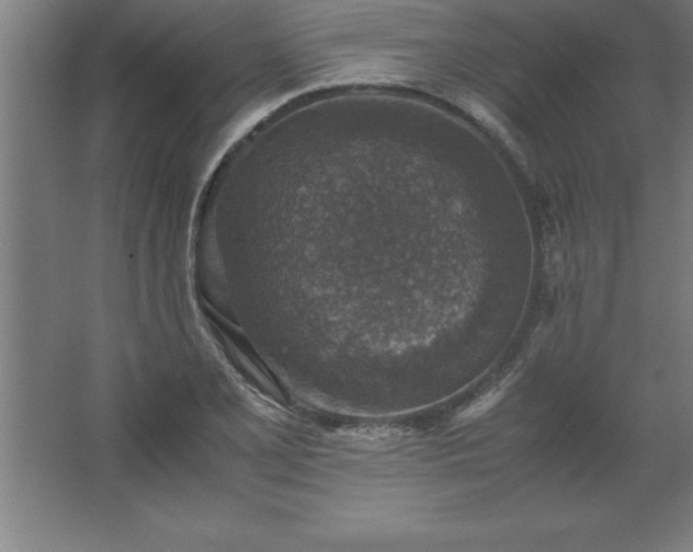 X0000062651077200512281641