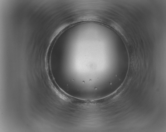 X0000062651082200512281641