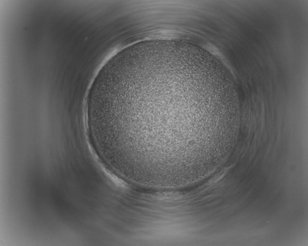 X0000062651083200512281641