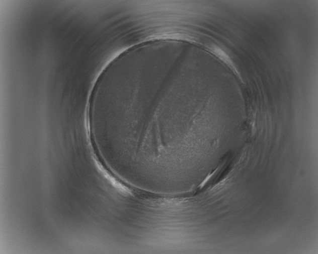 X0000062651084200512281641