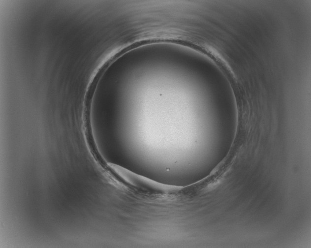 X0000062651085200512281641