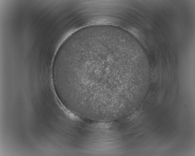 X0000062651086200512281641