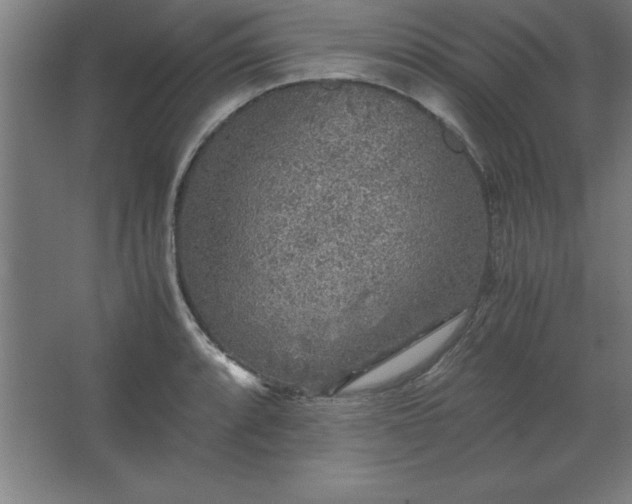 X0000062651088200512281641