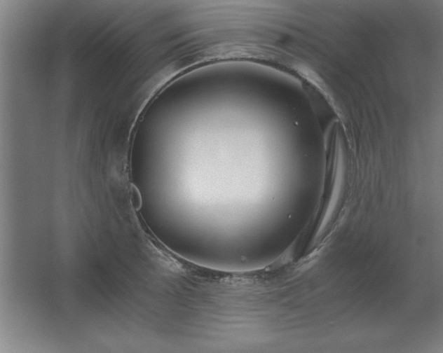 X0000062651089200512281641