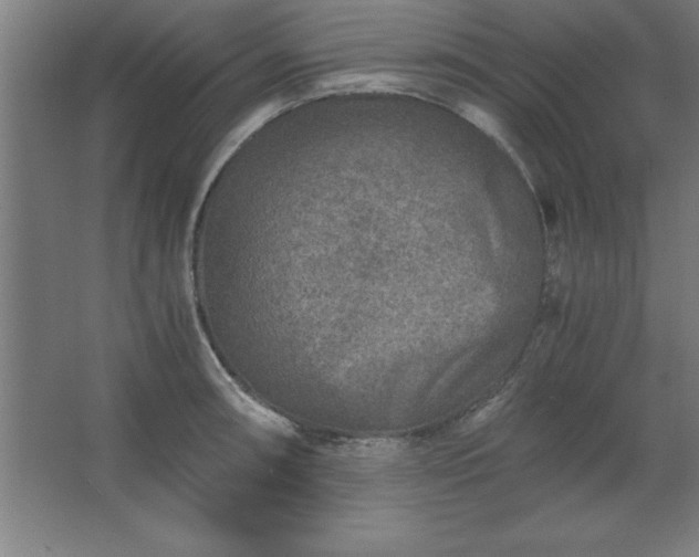 X0000062651090200512281641