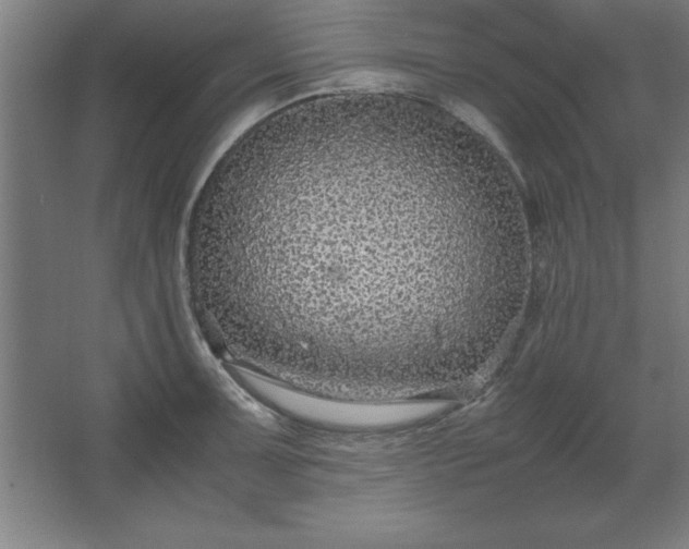 X0000062651091200512281641