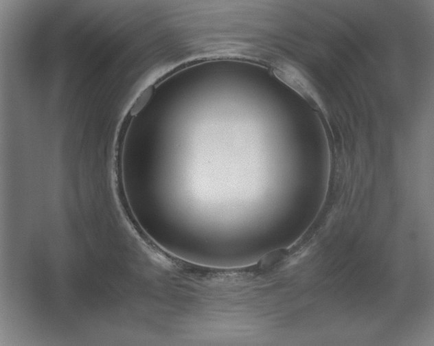 X0000062651093200512281641