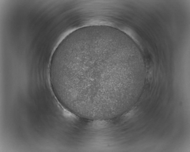 X0000062651094200512281641