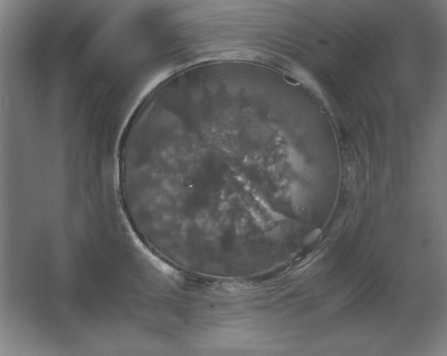 X0000062651095200512281641