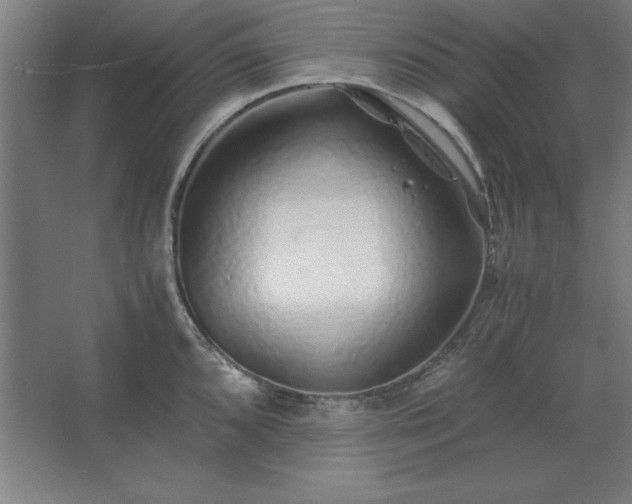 X0000062651096200512281641