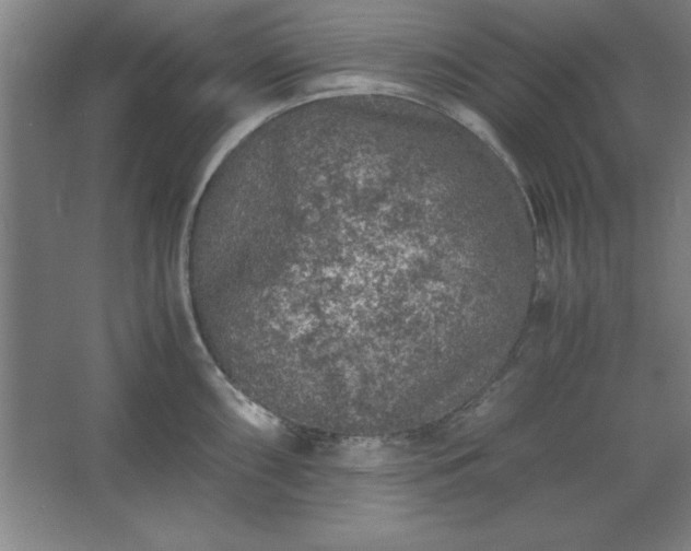 X0000062651098200512281641