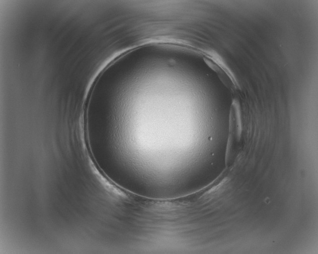 X0000062651100200512281641