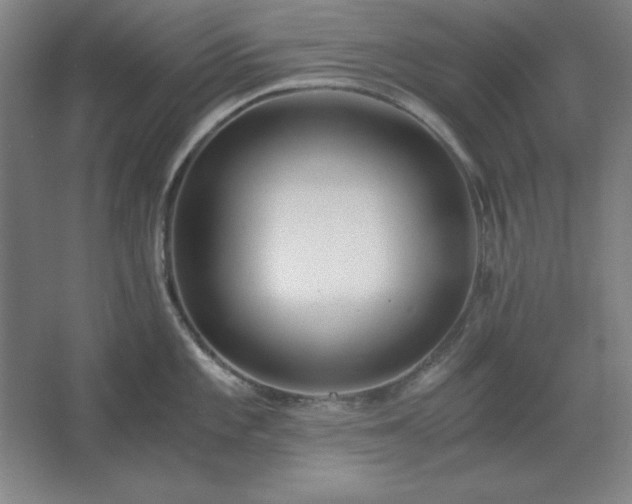 X0000062651101200512281641