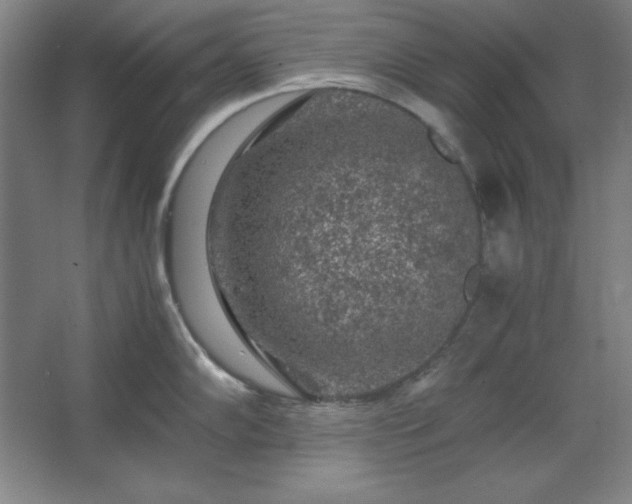 X0000062651102200512281640