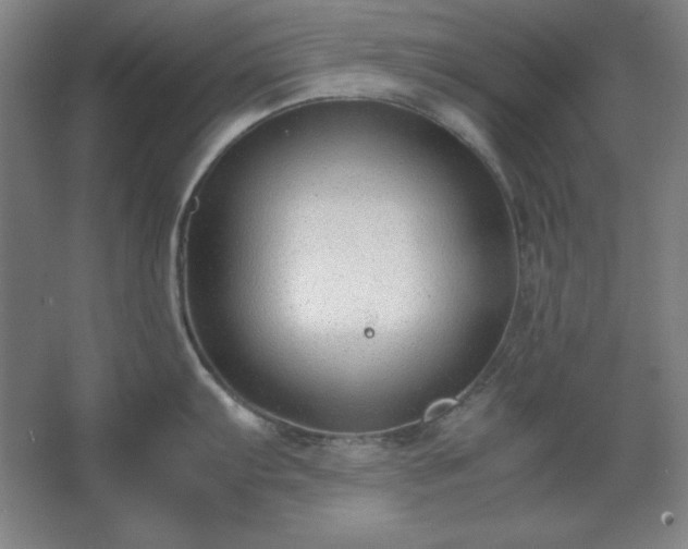 X0000062651103200512281640