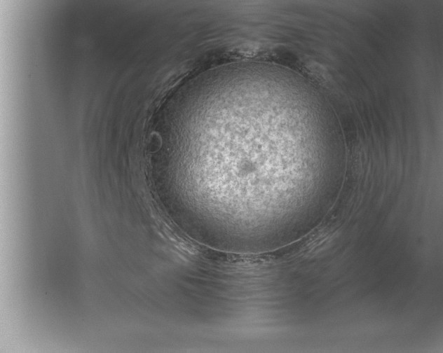 X0000062651105200512281640