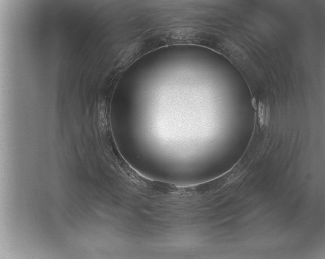 X0000062651107200512281640