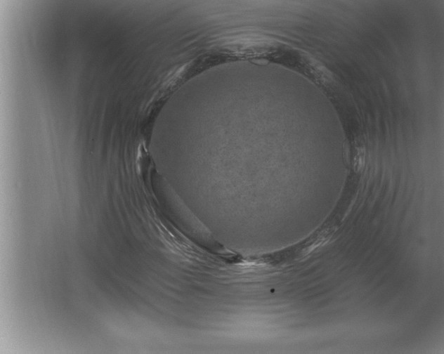 X0000062651108200512281640