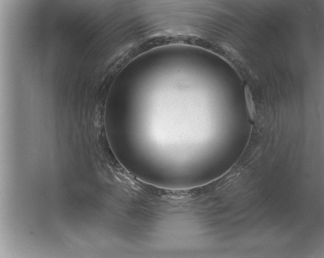 X0000062651110200512281640