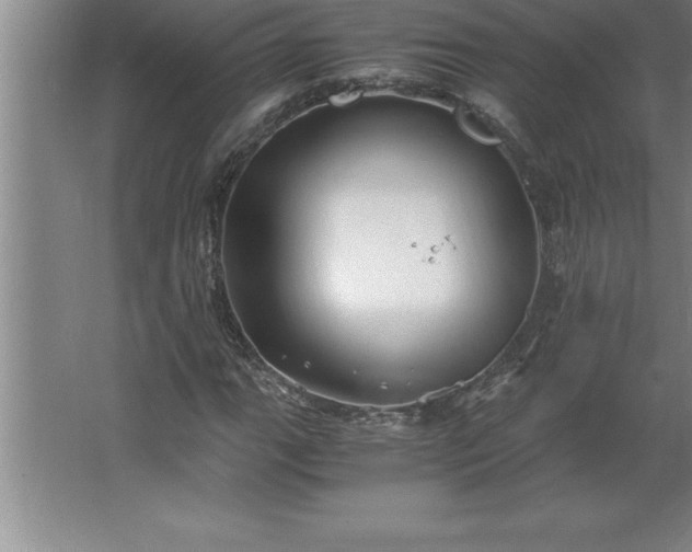 X0000062651111200512281640