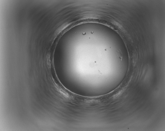 X0000062651113200512281640