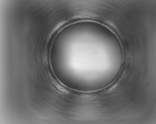 X0000062651114200512281640