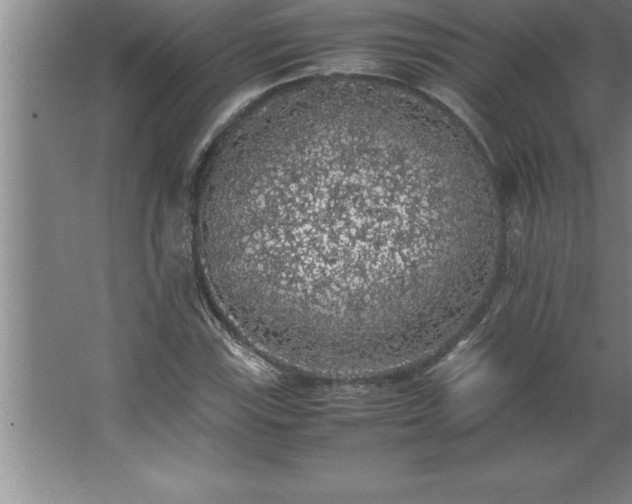 X0000062651115200512281640