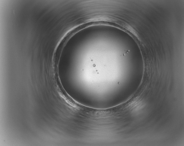 X0000062651116200512281640