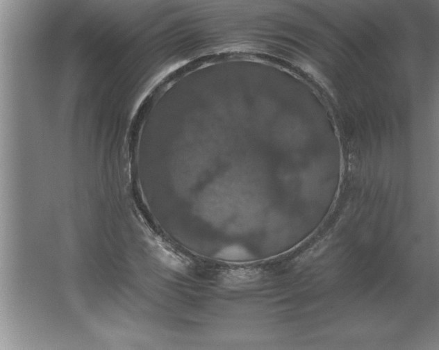 X0000062651117200512281640