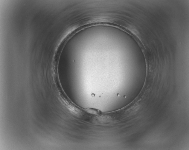 X0000062651119200512281640