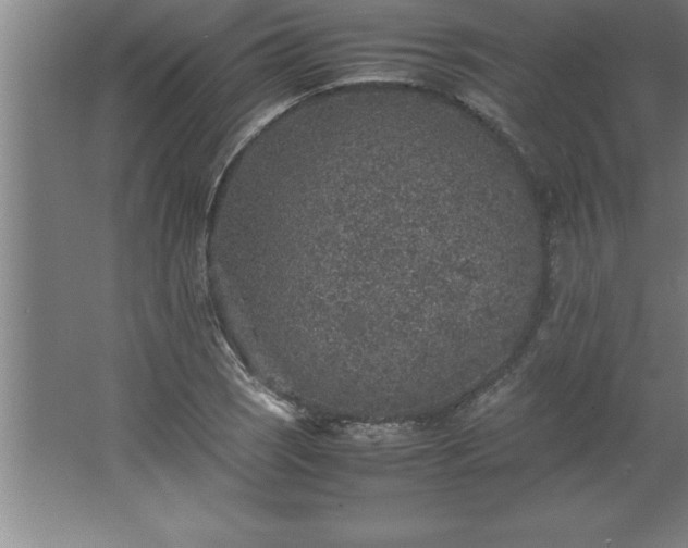 X0000062651121200512281640