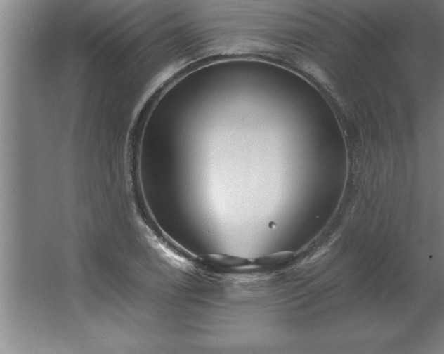 X0000062651122200512281640