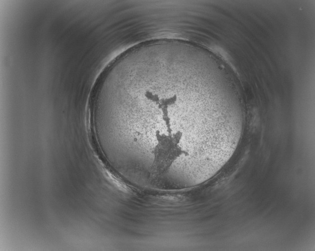 X0000062651125200512281640